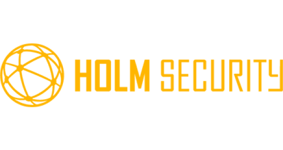 Компания Holm Security - изображение 1