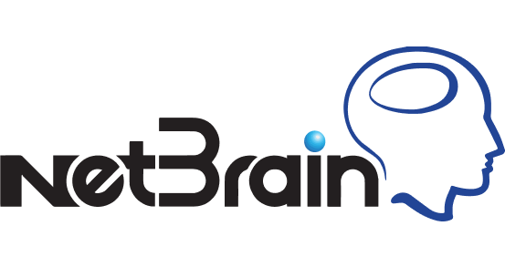 Компания NetBrain - изображение 1